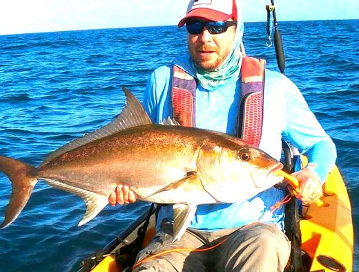 Amberjack