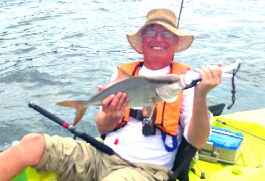Amberjack