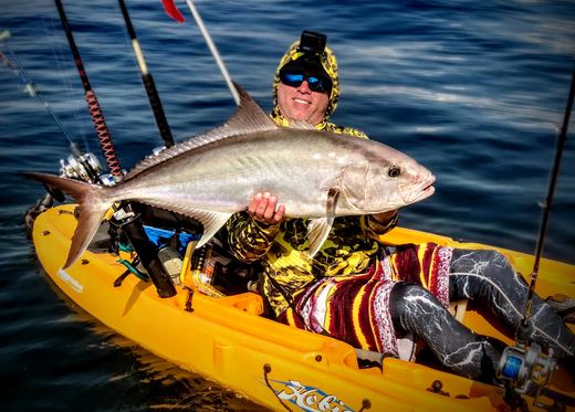 Amberjack