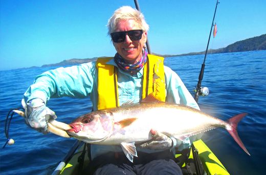 Amberjack