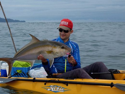 Amberjack