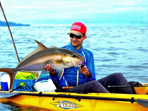 Amberjack
