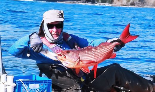 Mullet Snapper