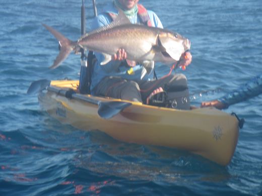 Other species