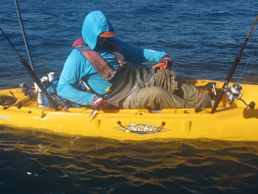 Other species