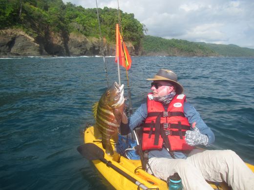 Other species