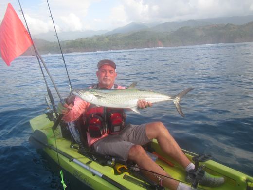 Other species