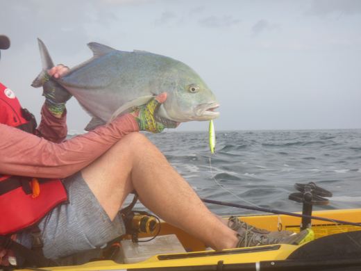 Other species