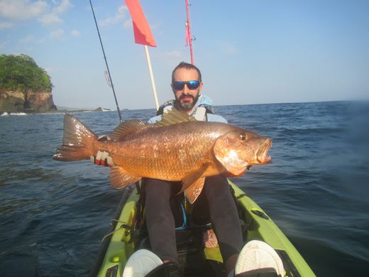 Other species