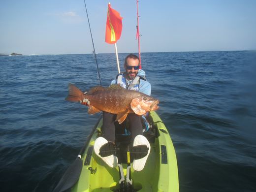 Other species
