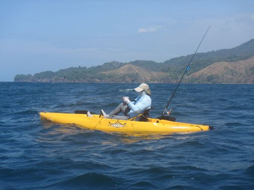 Other species