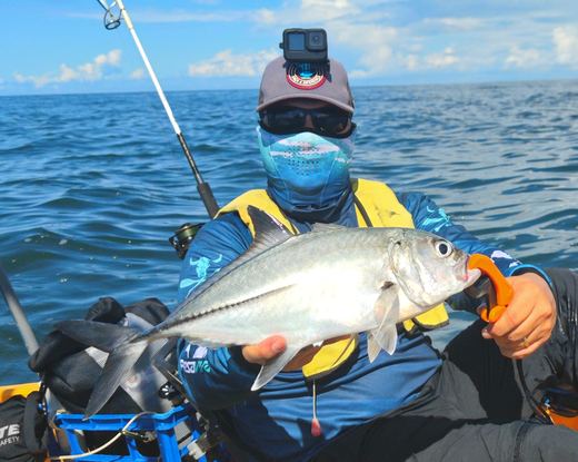 Bigeye Jack
