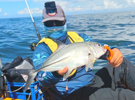 Bigeye Jack