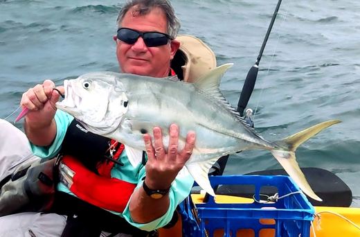 Bigeye Jack