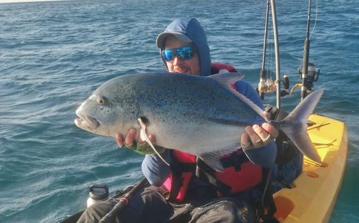 Bluefin Trevally