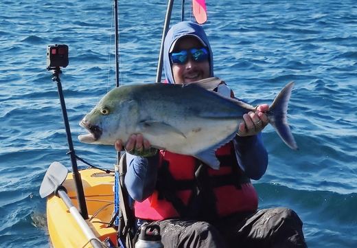 Bluefin Trevally