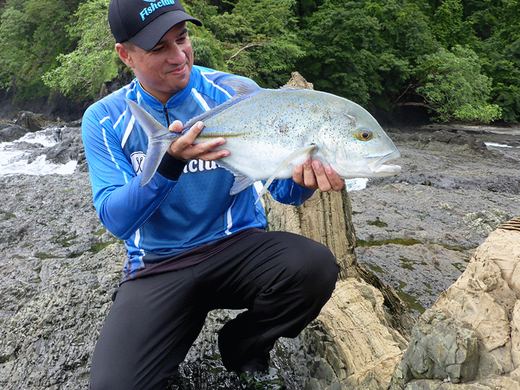 Bluefin Trevally