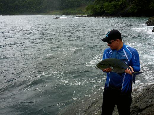 Bluefin Trevally