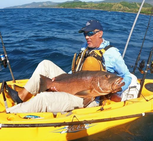 Cubera Snapper