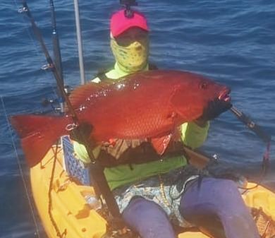 Cubera Snapper