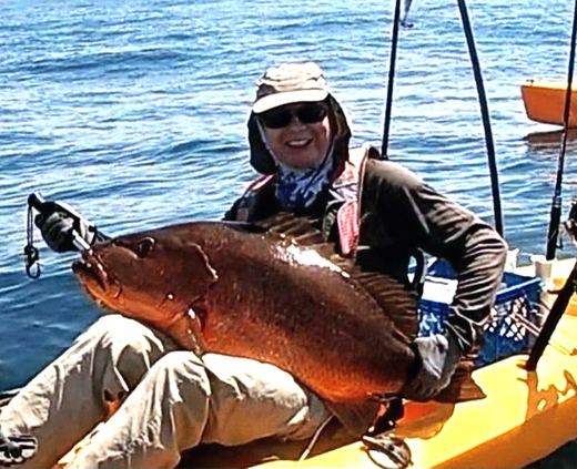 Cubera Snapper