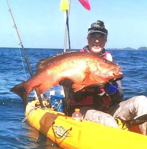 Cubera Snapper