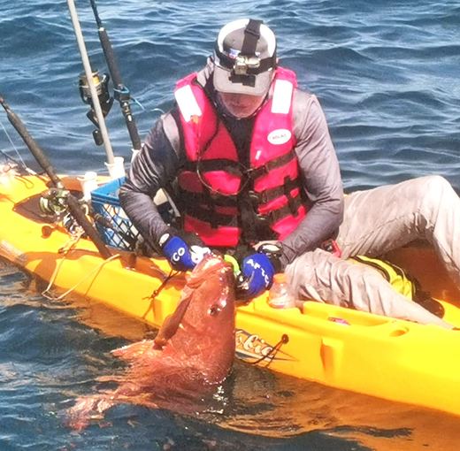 Cubera Snapper