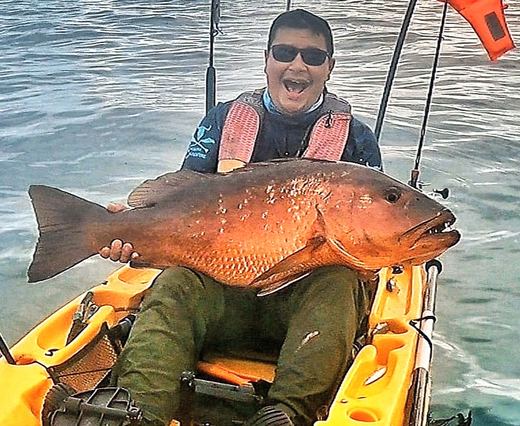 Cubera Snapper