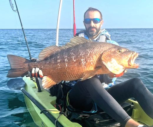 Cubera Snapper