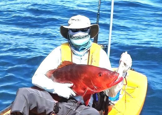 Cubera Snapper