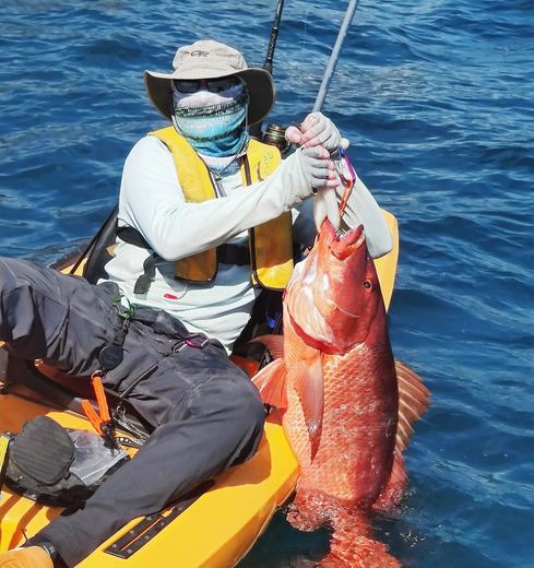 Cubera Snapper