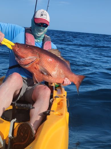Cubera Snapper