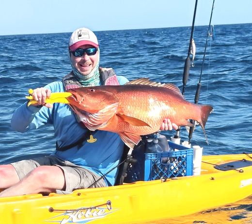 Cubera Snapper