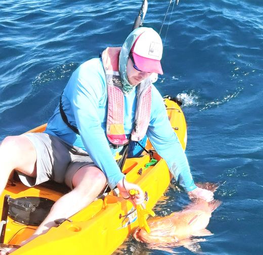 Cubera Snapper