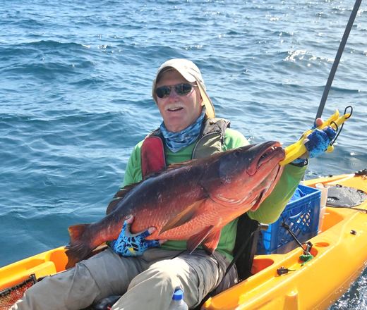 Cubera Snapper