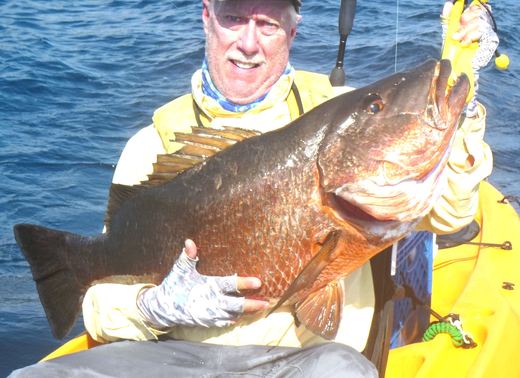 Cubera Snapper