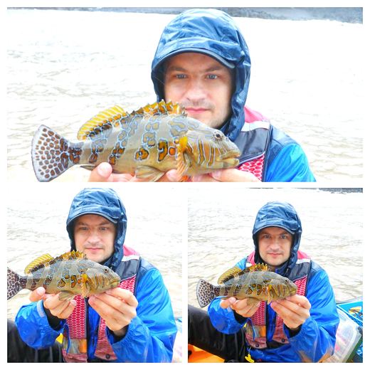 Grouper