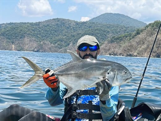 Jack Crevalle