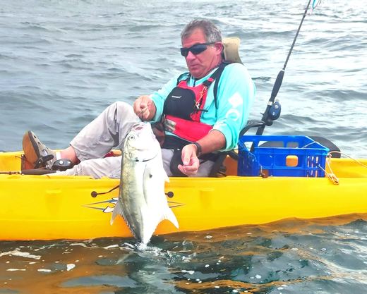 Jack Crevalle