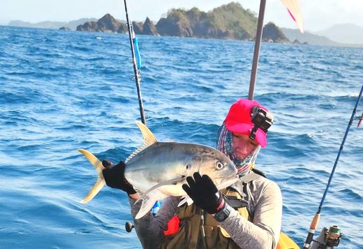 Jack Crevalle