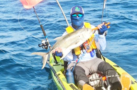 Jack Crevalle