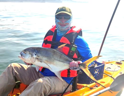 Jack Crevalle