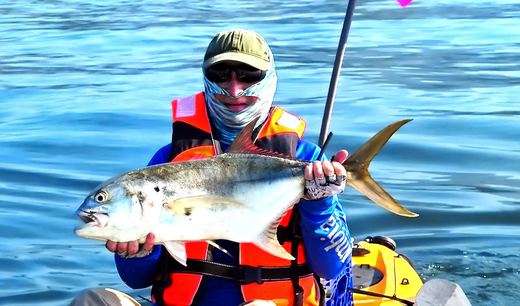 Jack Crevalle