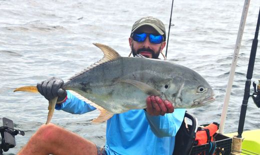 Jack Crevalle