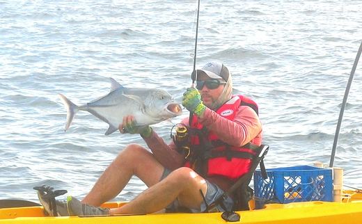 Jack Crevalle