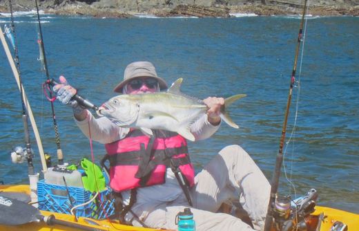 Jack Crevalle