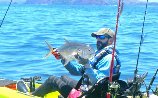 Jack Crevalle