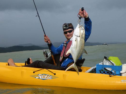 Jack Crevalle