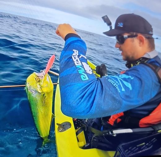 Mahi Mahi
