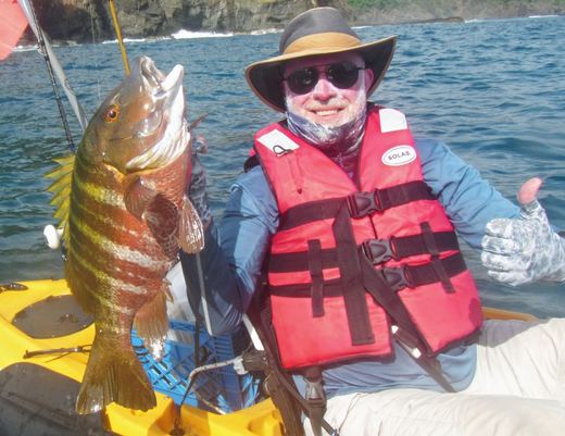 Rock Snapper
